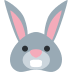 :rabbit: